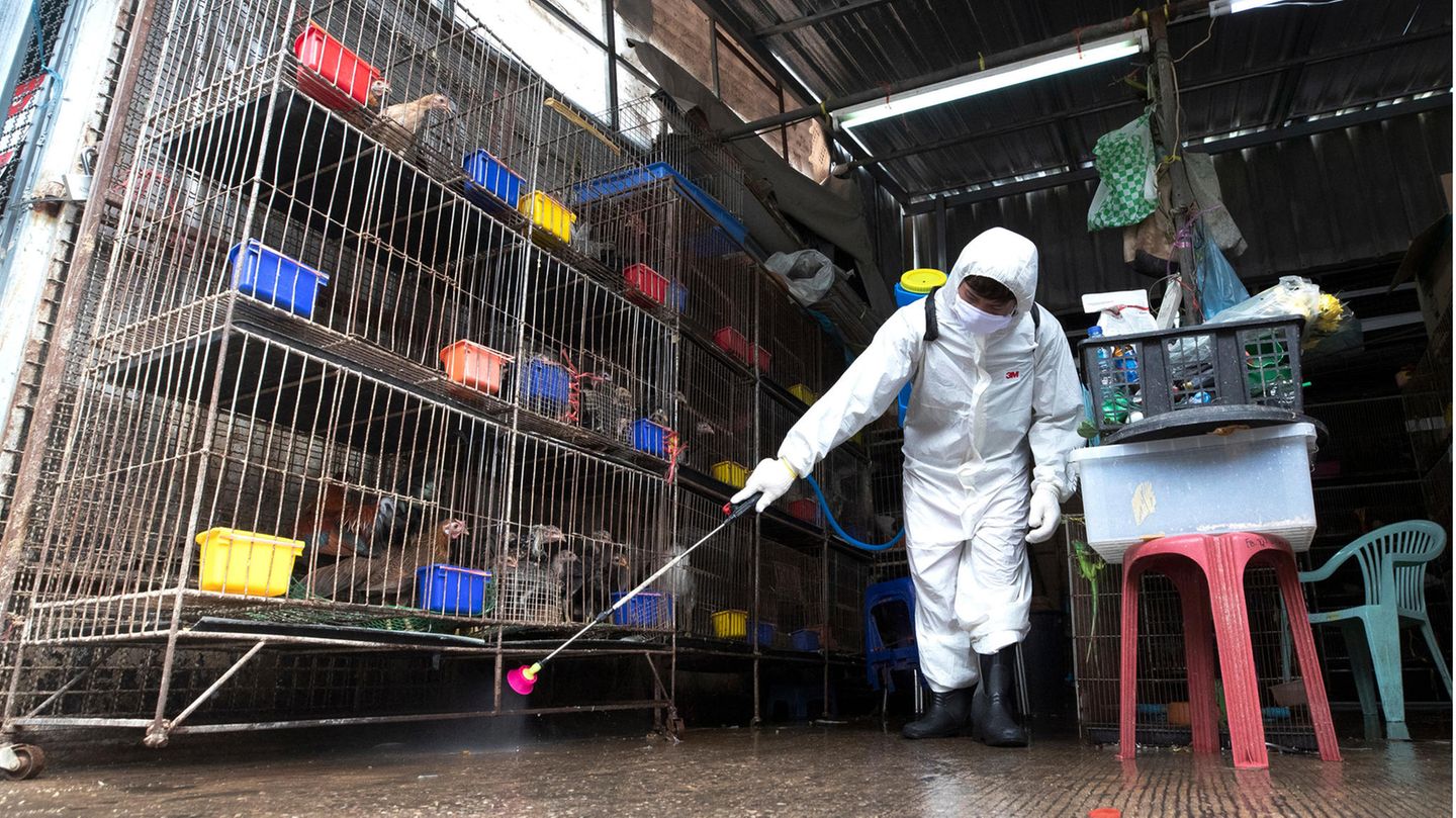Ein Arbeiter sprüht auf dem Chatuchak-Markt Desinfektionsmittel als Vorsichtsmaßnahme gegen die Verbreitung des Coronavirus