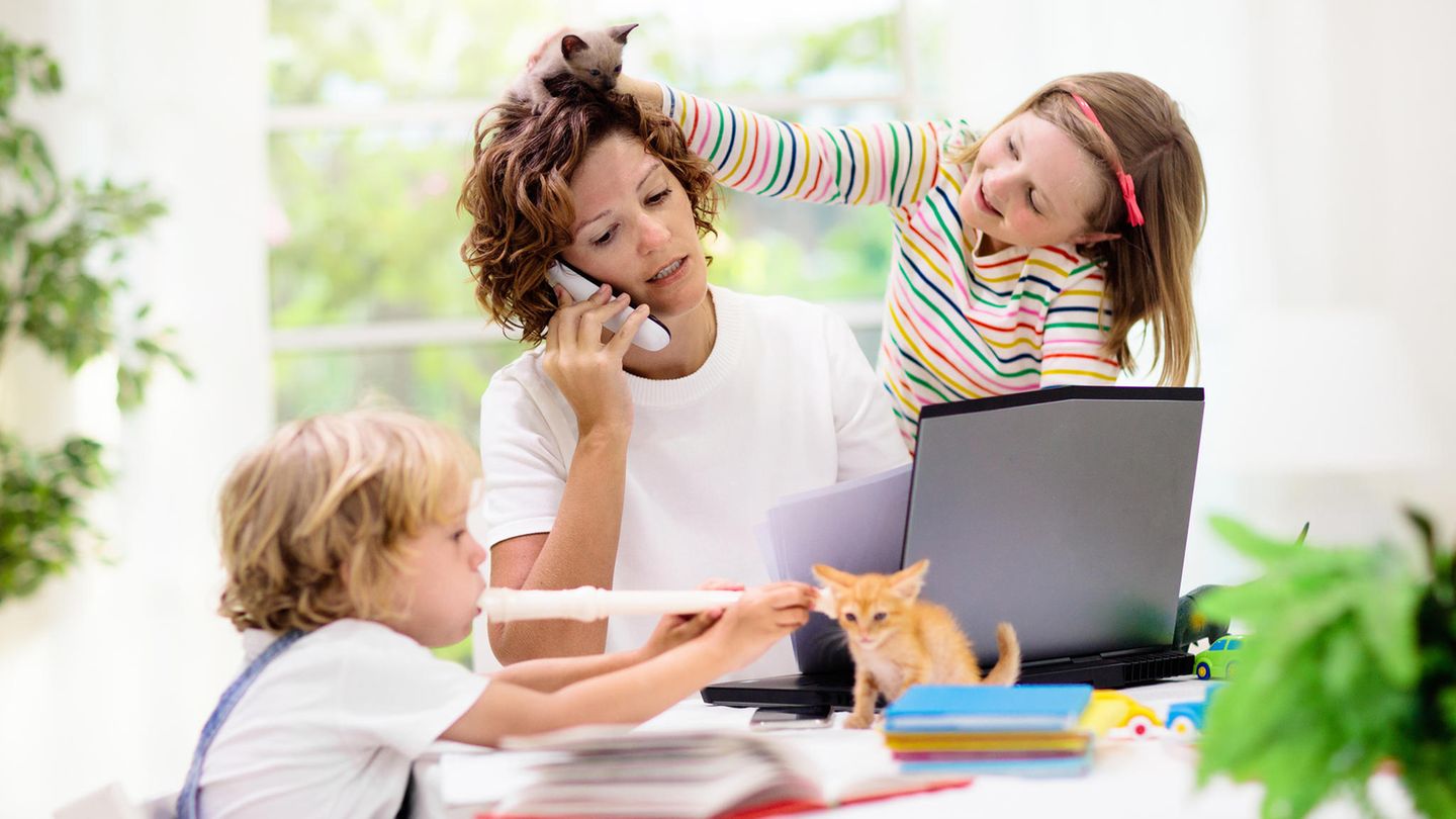 Frau im Homeoffice Frau im Homeoffice