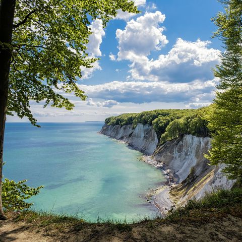 Seit 2011 zählt der Nationalpark Jasmund mit seinen Kreidefelsen und Buchenwäldern zum Unesco-Weltnaturerbe