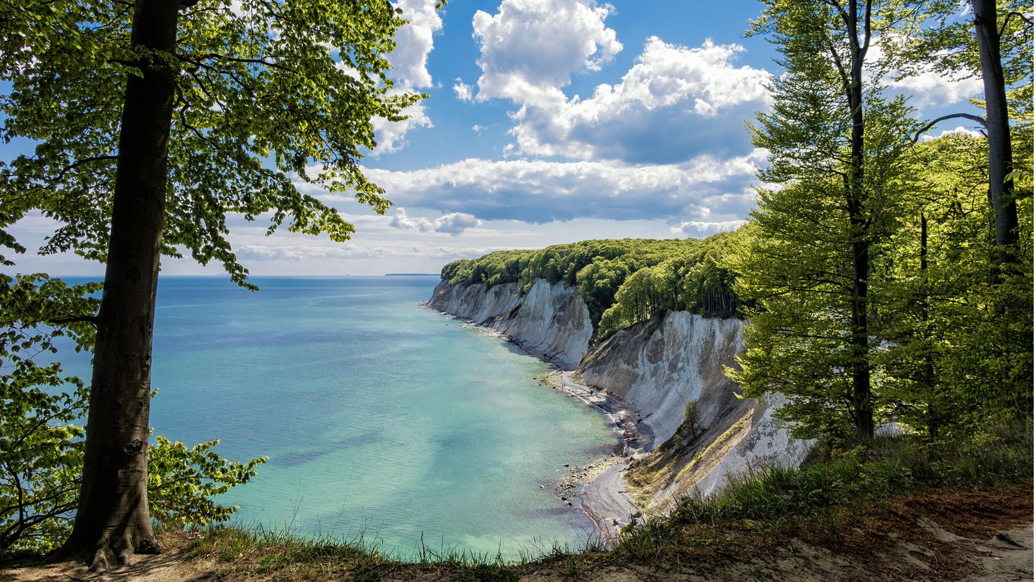 Seit 2011 zählt der Nationalpark Jasmund mit seinen Kreidefelsen und Buchenwäldern zum Unesco-Weltnaturerbe