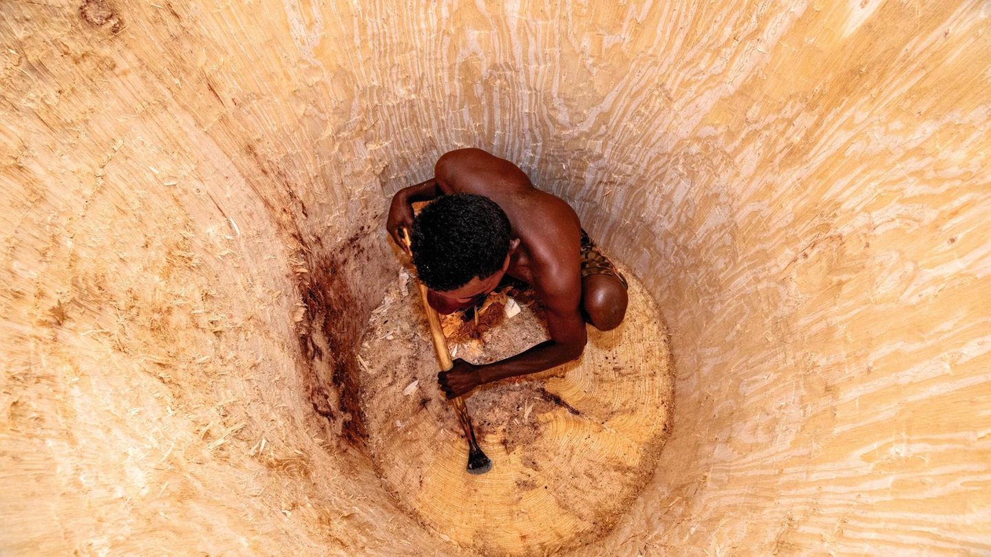 Village of Ampotaka,(475 ha, 300 baobabs tank) plateau Mahafaly, limestone plateau where there is no surface water, no river, nor lake. It only rains 2 to 3 times a year.The population looked for a way to store water when it rains, which they did by di... Ein Mann im Inneren eines Baumes