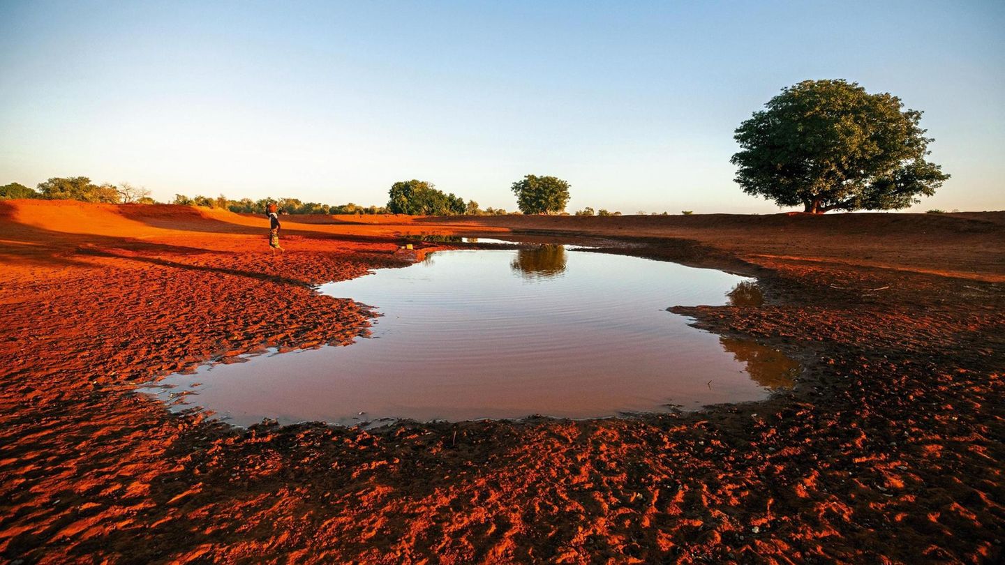 During the months of January to February March the villagers of the village of Ampotaka will use the water of the only receive of the village.Village of Ampotaka,(475 ha, 300 baobabs tank) plateau Mahafaly, limestone plateau where there is no surface ... Eine große Pfütze rot gefärbten Wassers