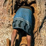 Ein Mann steckt mit dem ganzen Oberkörper in einem ausgehöhlten Baumloch