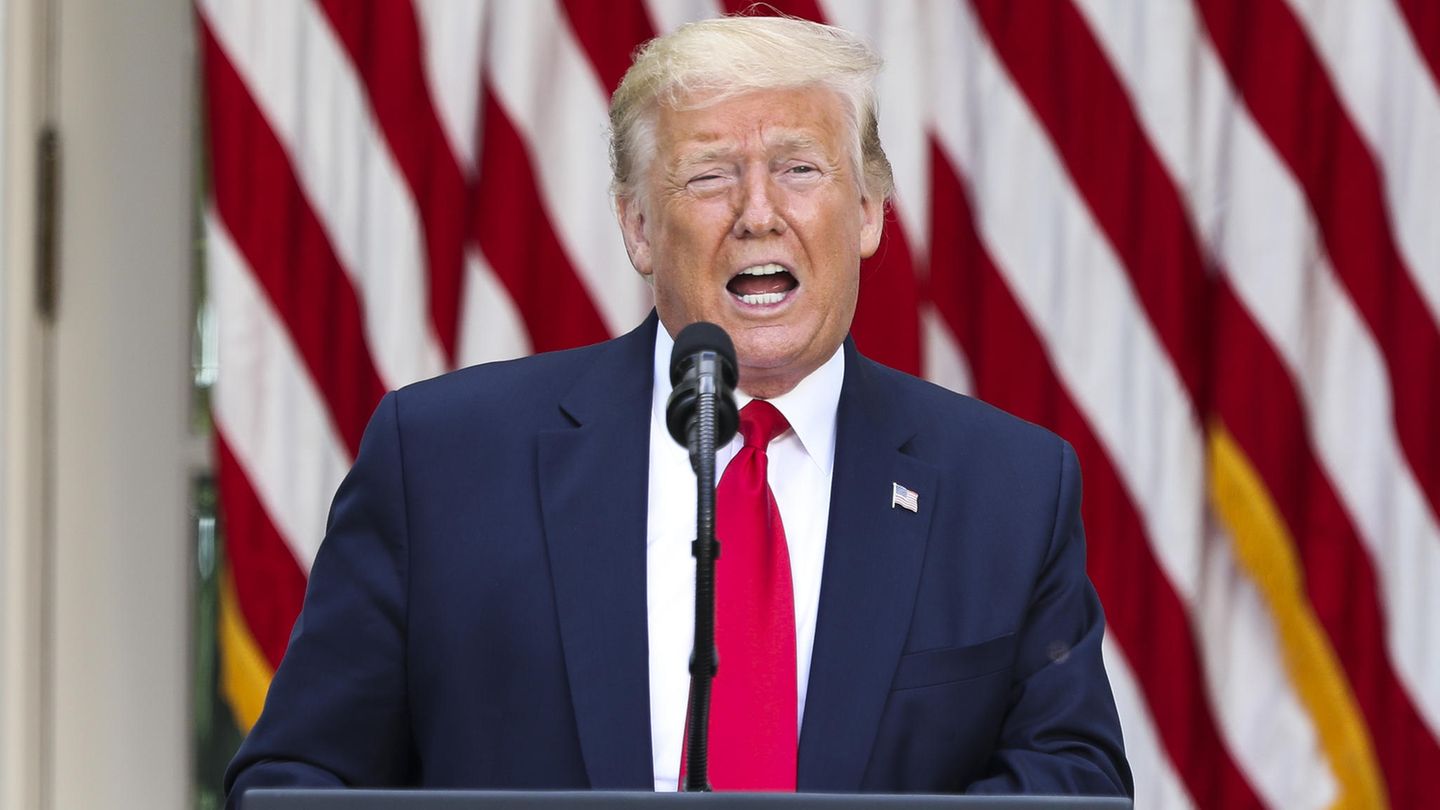 Wahlkampf in den USA: Betrugsvorwürfe gegen Opposition: Wird Trump die Wahl im Herbst einfach nicht anerkennen?