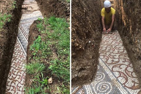 Negrar: Römischer Mosaikboden wird metertief unter italienischem Weinberg entdeckt