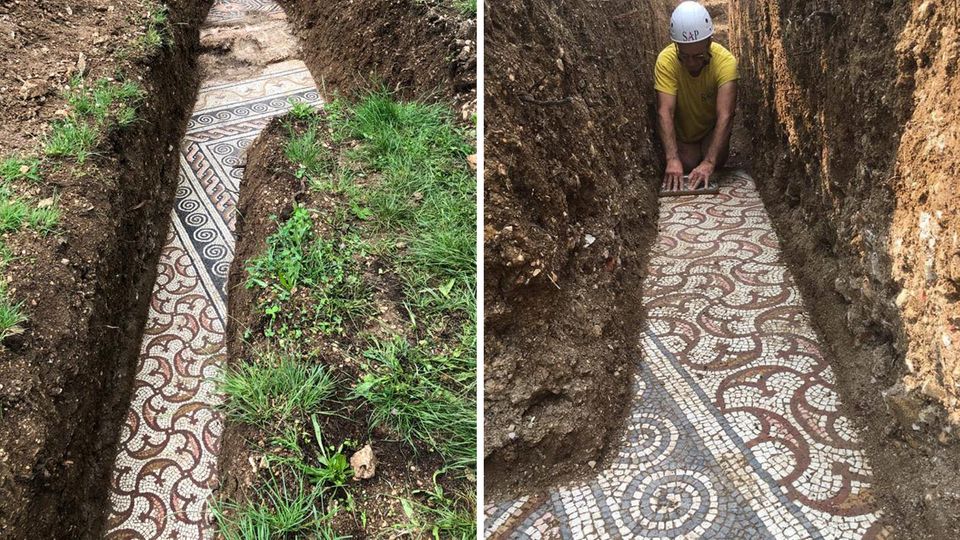 Negrar: Römischer Mosaikboden wird metertief unter italienischem Weinberg entdeckt Negrar: Römischer Mosaikboden wird metertief unter italienischem Weinberg entdeckt