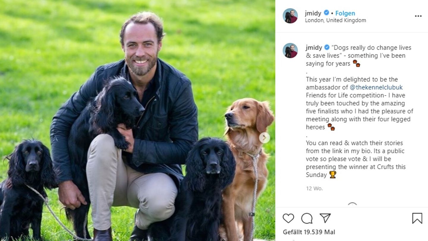 James Middleton verkauft jetzt Hundefutter