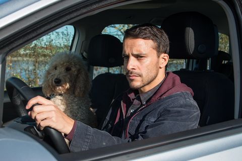 "Aus dem Tagebuch eines Uber-Fahrers"