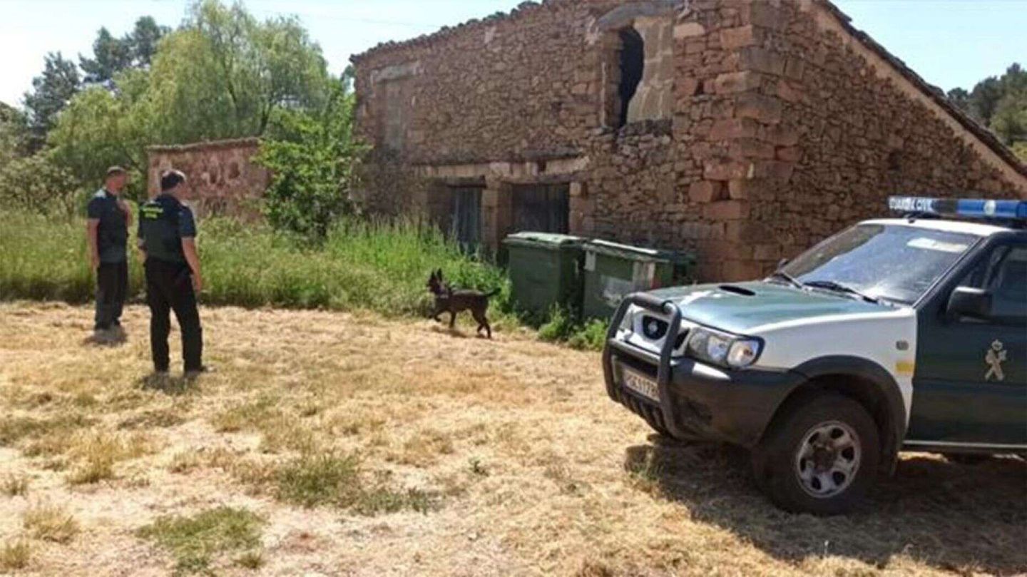 Die spanischen Behörden suchen nach einem Überlebenskünstler, der eine Reihe bewaffneter Raubüberfälle begangen haben soll