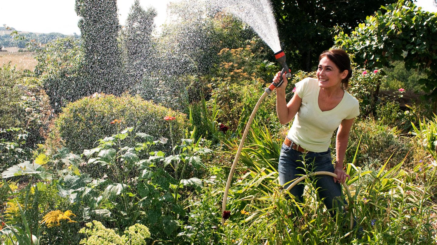 Water the garden properly: an expert clears up 10 myths