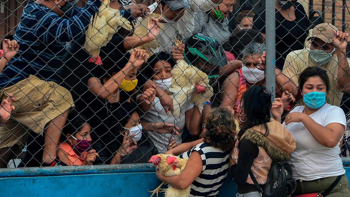 Honduras Honduras