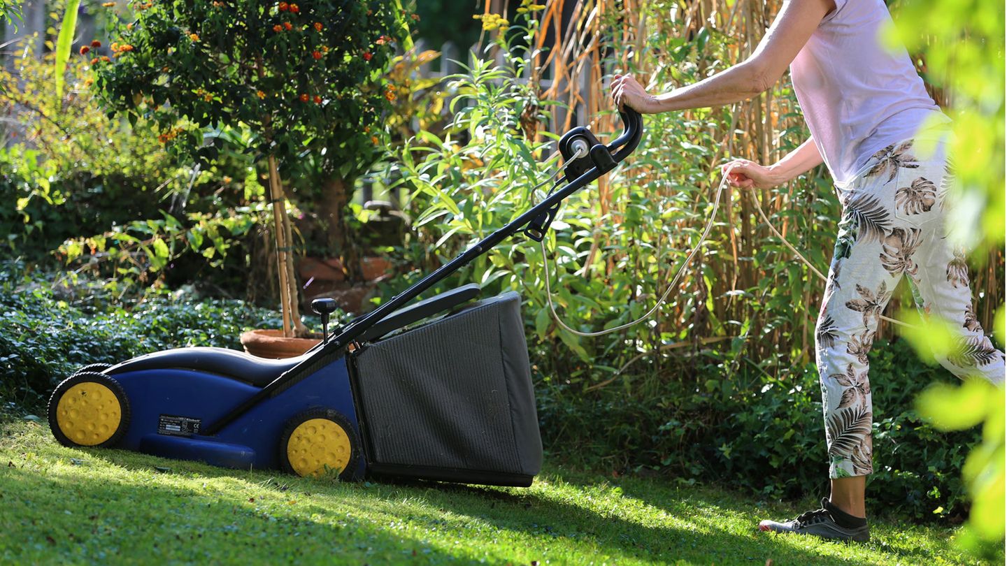 Mowing the lawn: seven hot tips for the summer