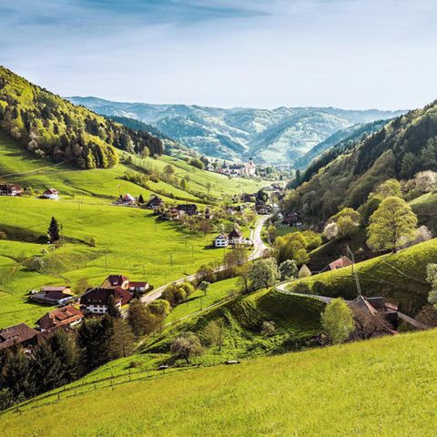 Schwarzwald