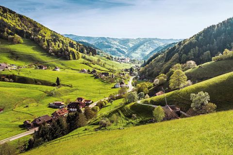 Schwarzwald