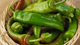Schote der Anaheim-Chili