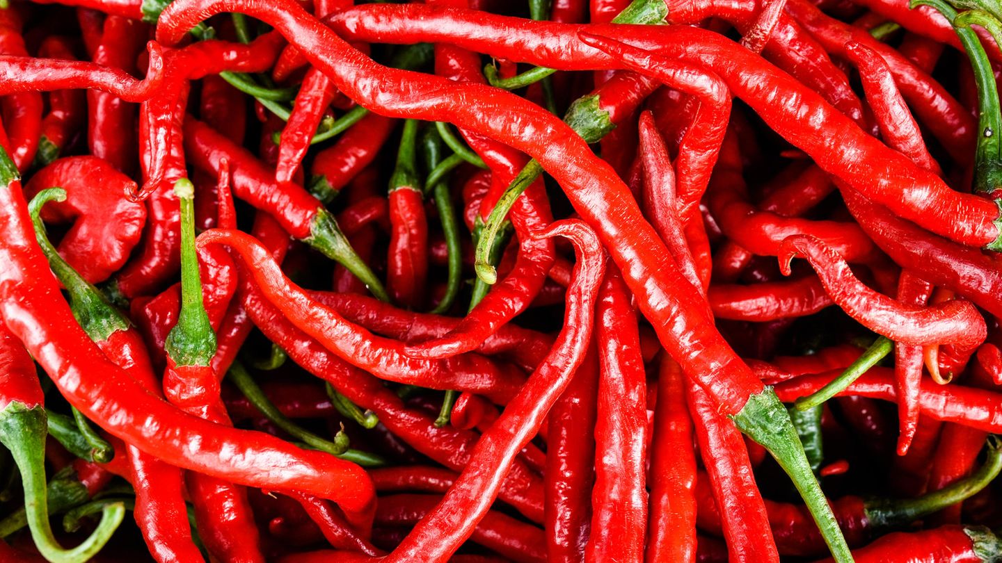 Cayenne-Schote