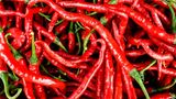 Cayenne-Schote