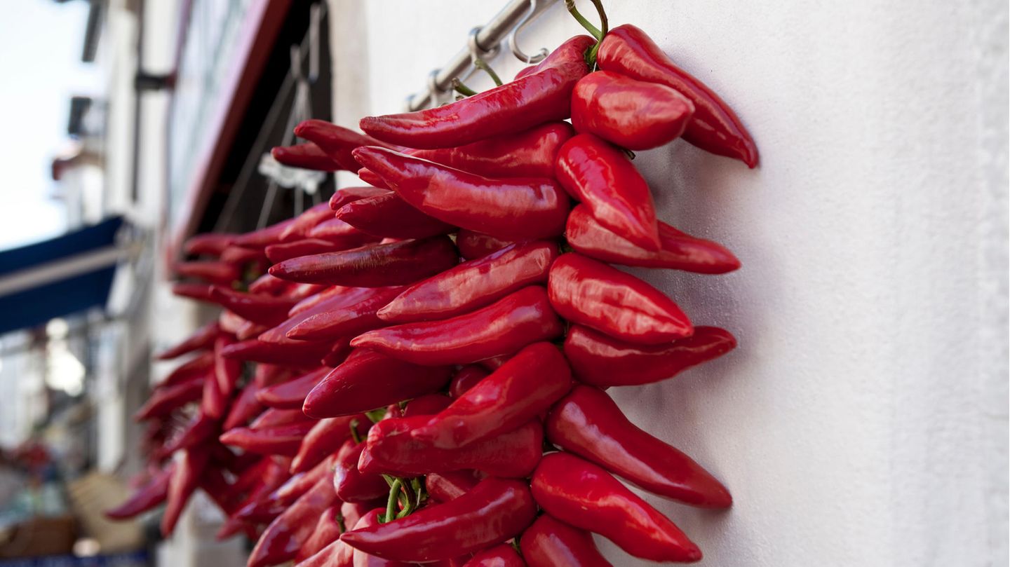 Piment d'Espelette