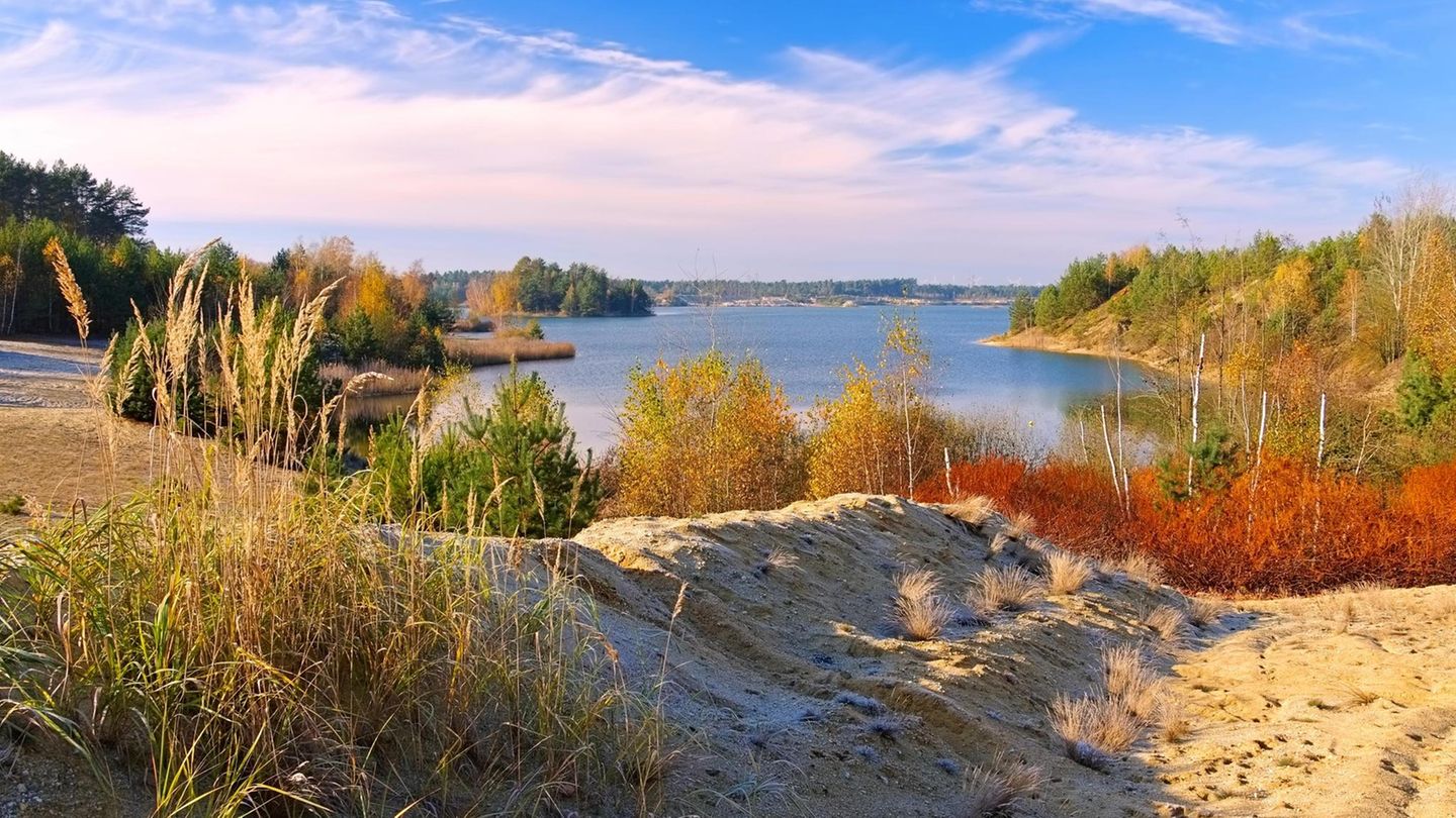 Funkelndes Wasser mit Heidestrand