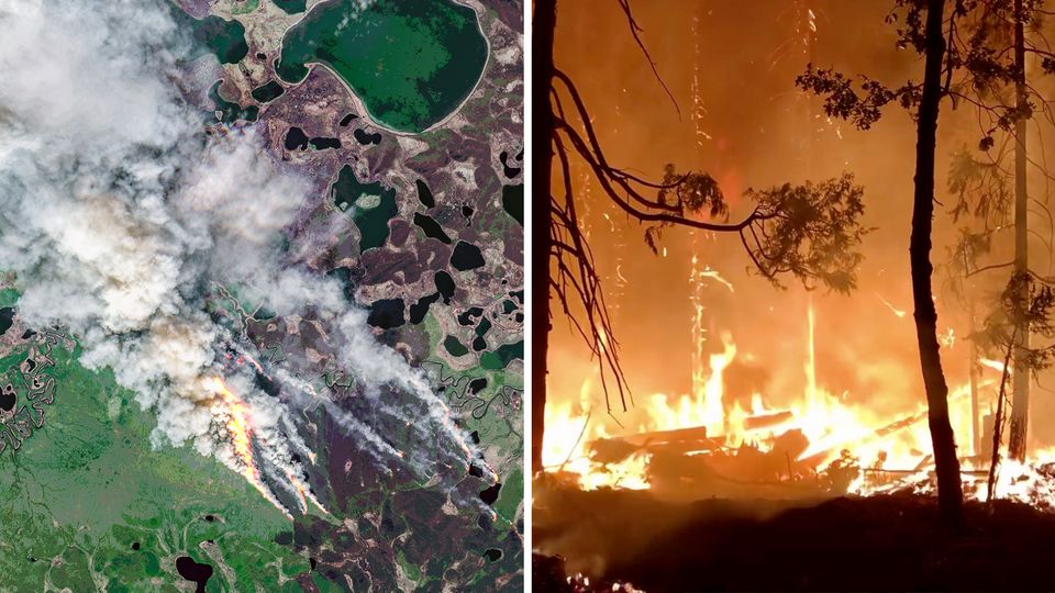 Zombie-Feuer auf der nördlichen Erdhalbkugel Zombie-Feuer auf der nördlichen Erdhalbkugel