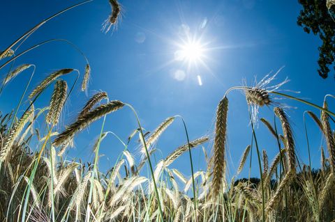 Wetter in Deutschland - Sonne am Wochenende