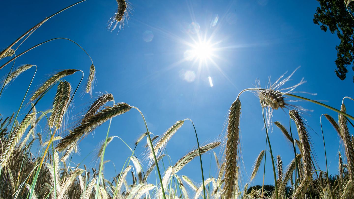 Wetter in Deutschland - Sonne am Wochenende