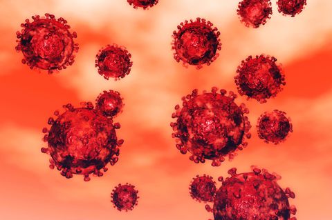 Coronavirus als Illustration