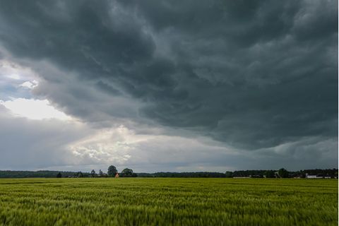 Wetter in Deutschland