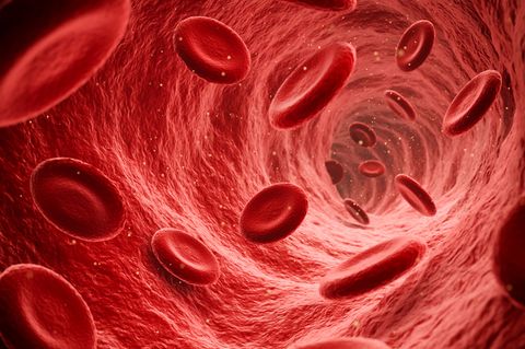 Blut Coronavirus