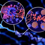 Alzheimer Beta-Amyloid und Tau