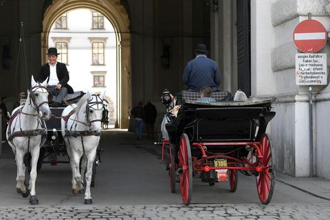 Fiaker in Wien