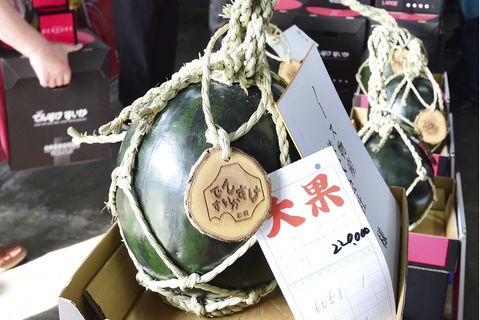 Densuke Wassernmelone