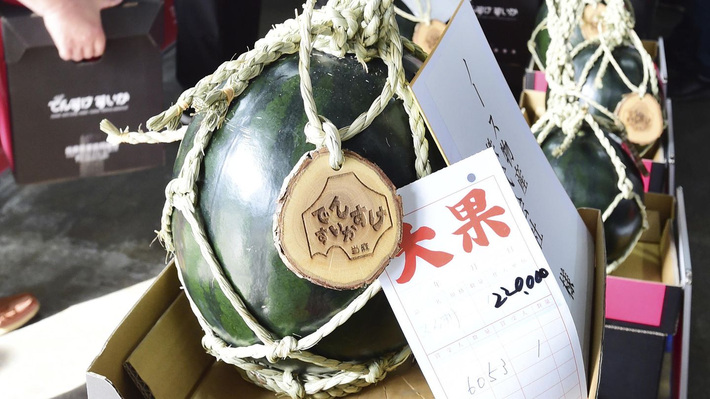 Densuke Wassernmelone
