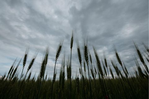 Wetter in Deutschland - Wolken über einem Feld