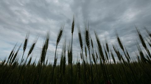 Wetter in Deutschland - Wolken über einem Feld
