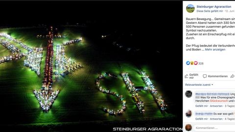 Schleswig-Holstein: Protest gegen Missstände in der Landwirtschaft: Bauern formen rechtes Symbol