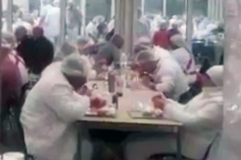 Geleaktes Video aus Tönnies-Fleischfabrik