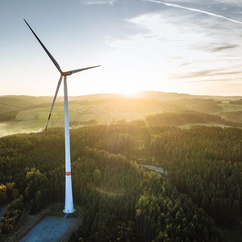 Derzeit wachsen Windkraftwerke auf über 200 Meter Höhe.