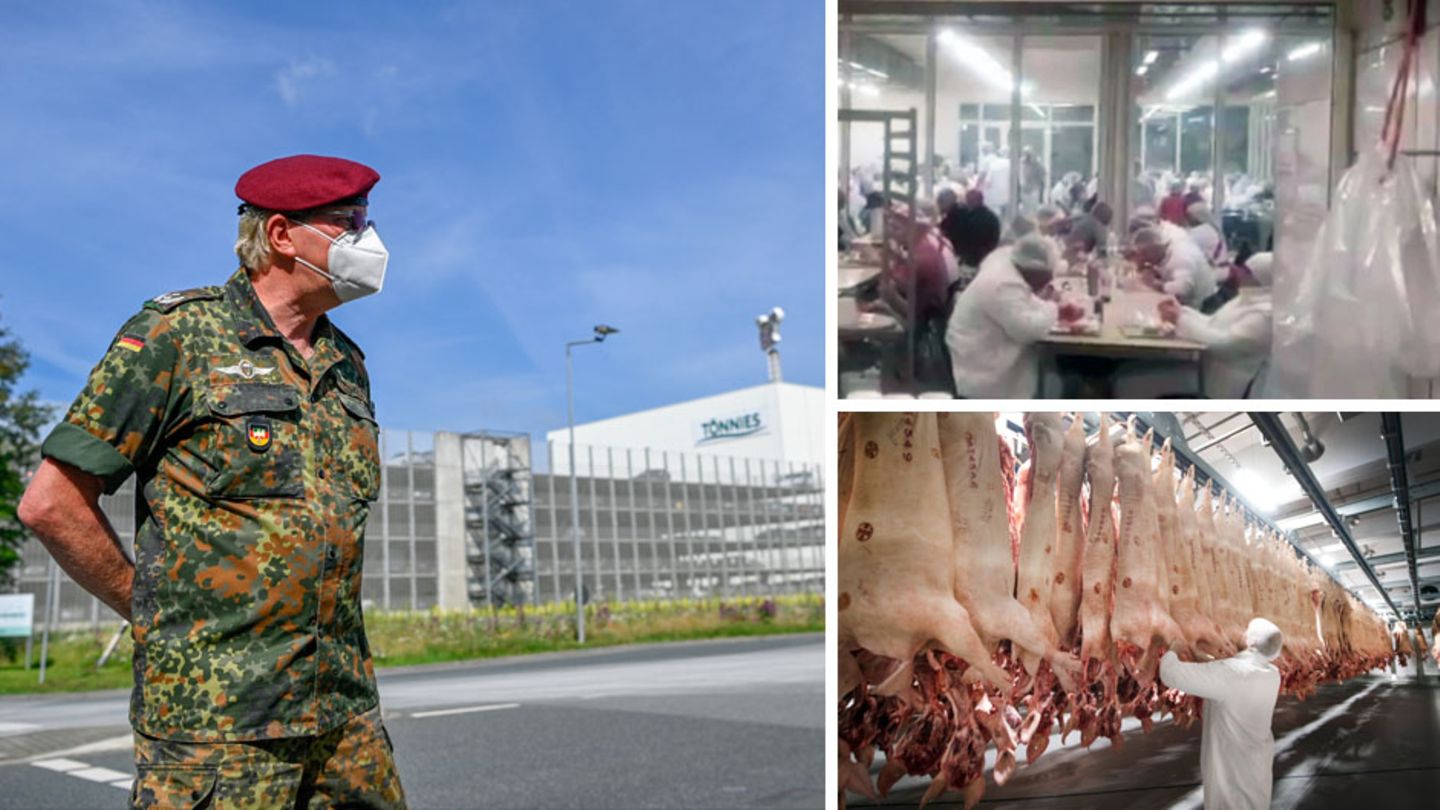 Coronavirus-Ausbruch im Schlachthof – "Tönnies" unter Beschuss: "In diesem Umfeld ist es geradezu verpönt, krank zu werden" Coronavirus-Ausbruch bei Tönnies