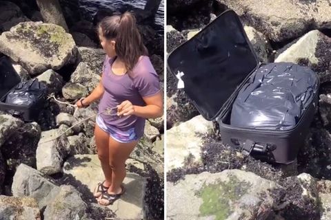 Jugendliche finden einen Koffer voller Leichenteile am Strand in Seattle.