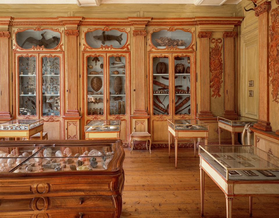 Muséum d'Histoire Naturelle de la Rochelle Muséum d'Histoire Naturelle de la Rochelle