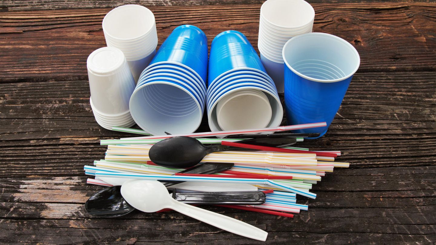 Verbot von Einweg-Plastik kommt 2021