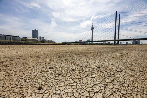 Wissenschaftsautor Wolf Harlander: Dürre in Deutschland: "Auf Hochwasser sind wir vorbereitet, auf das Gegenteil nicht", sagt der Experte
