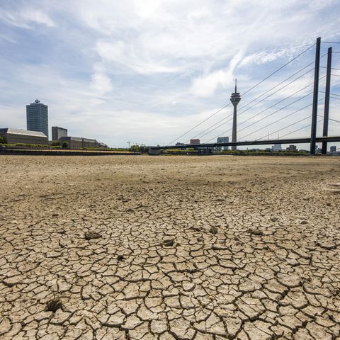 Wissenschaftsautor Wolf Harlander: Dürre in Deutschland: "Auf Hochwasser sind wir vorbereitet, auf das Gegenteil nicht", sagt der Experte