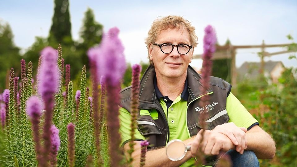Der Bestseller-Autor und Pflanzenarzt René Wadas rät zu mehr Gelassenheit und weniger Gift im Garten