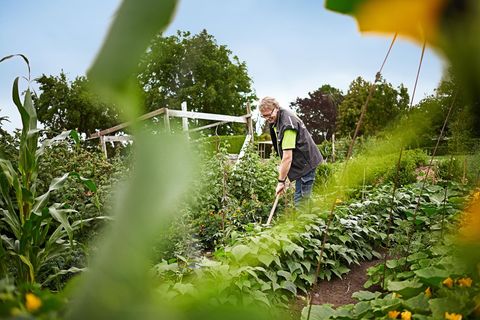 René Wadas ist Pflanzenarzt und plädiert für möglichst wenig Gift im Garten