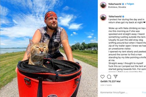 Unzertrennliches Paar: Mann nimmt streunende Katze auf und fährt mit ihr auf dem Fahrrad durch Europa