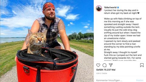 Unzertrennliches Paar: Mann nimmt streunende Katze auf und fährt mit ihr auf dem Fahrrad durch Europa