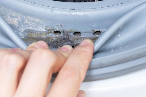Der Schleim dieser Waschmaschine ist nicht nur eklig, sondern auch ein Zeichen, dass die Wäsche nicht sauber wurde.