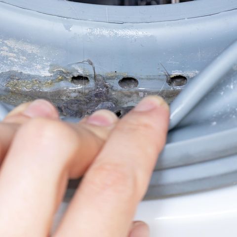 Der Schleim dieser Waschmaschine ist nicht nur eklig, sondern auch ein Zeichen, dass die Wäsche nicht sauber wurde.